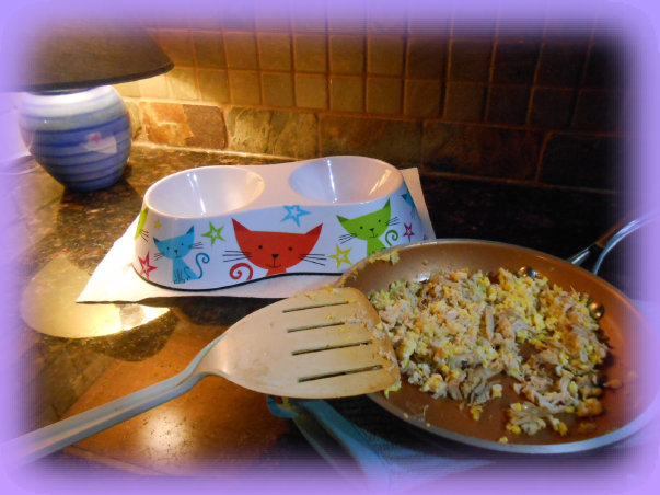 chowfornow002001.jpg