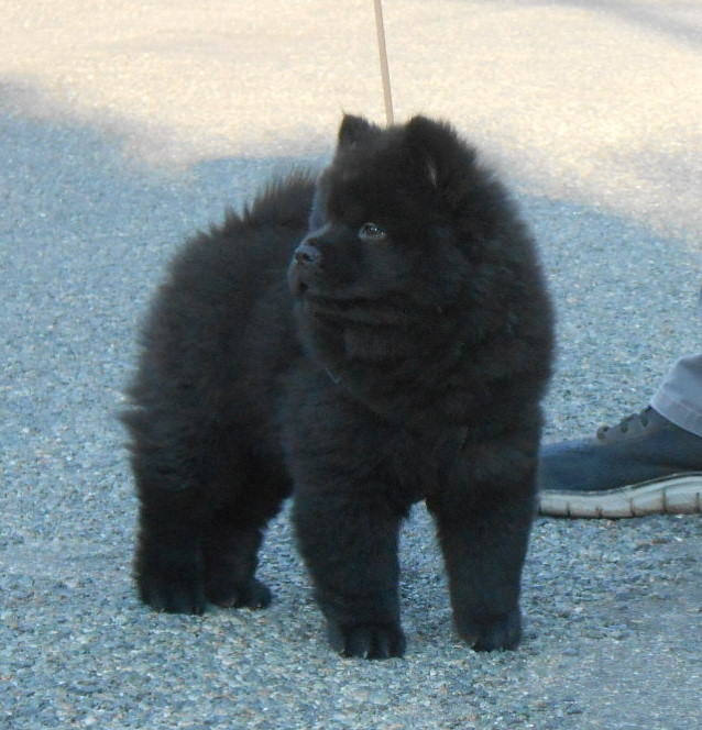 dscn3518.jpg