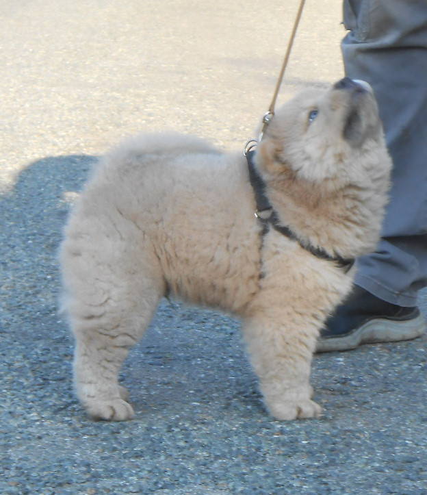 dscn3539.jpg