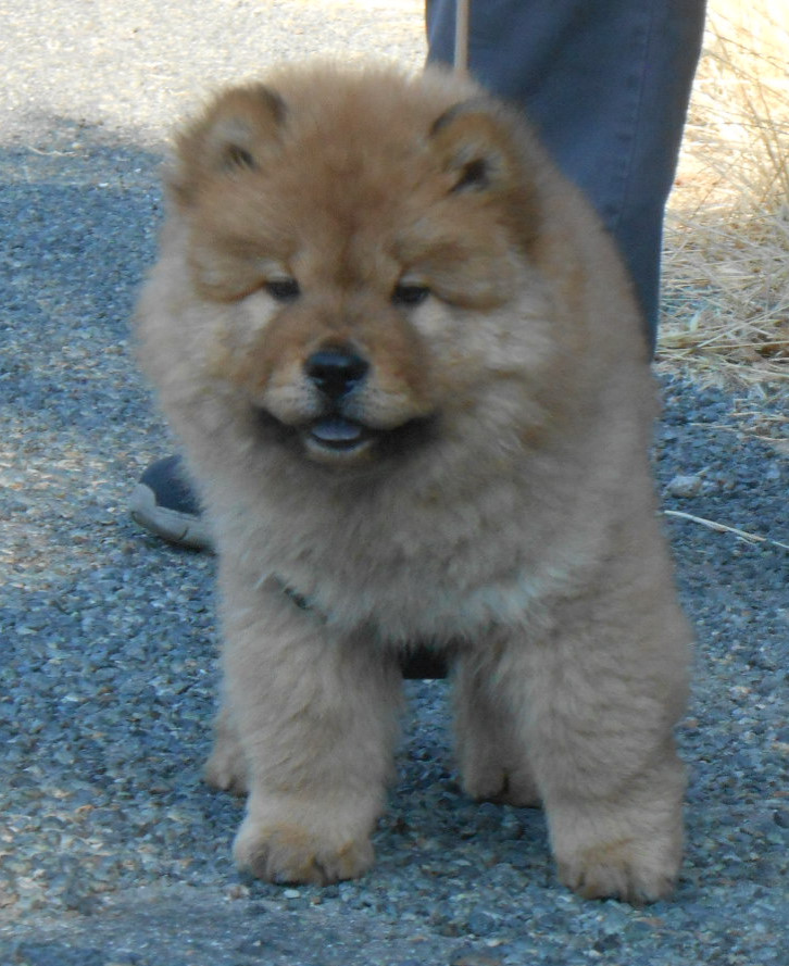 dscn3576.jpg